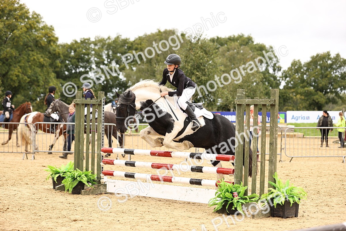 SBM_65584 - J17 - Junior Pony 80cm Championship