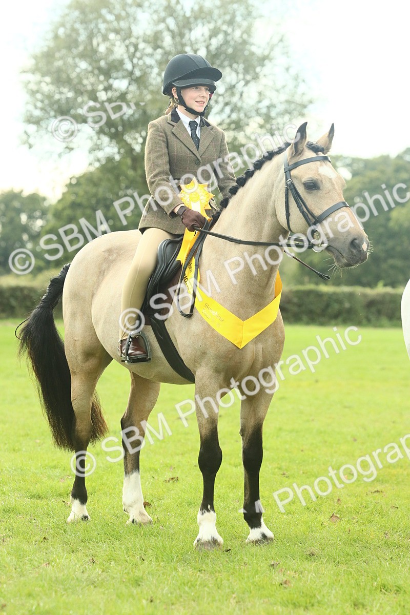 SBM_74127 - S 61 - Show Pony & Show Hunter Pony Ridden