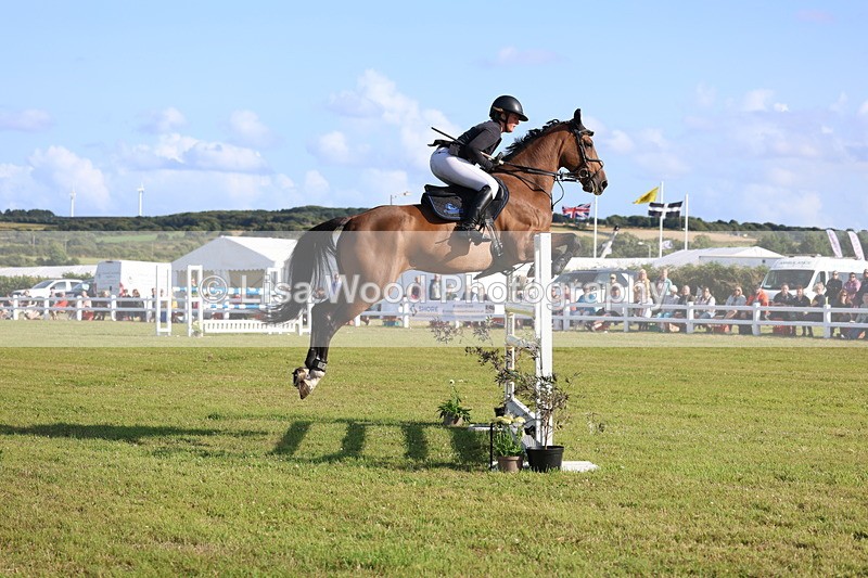3E7A4300 - Class C: Showjumping Senior Foxhunter