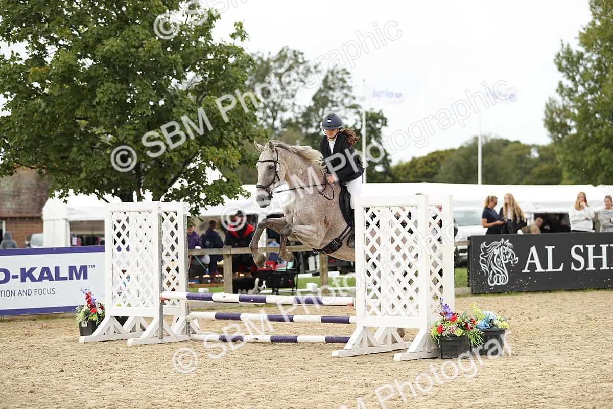 SBM_40313 - J21 - Junior Horse 60cm Championship
