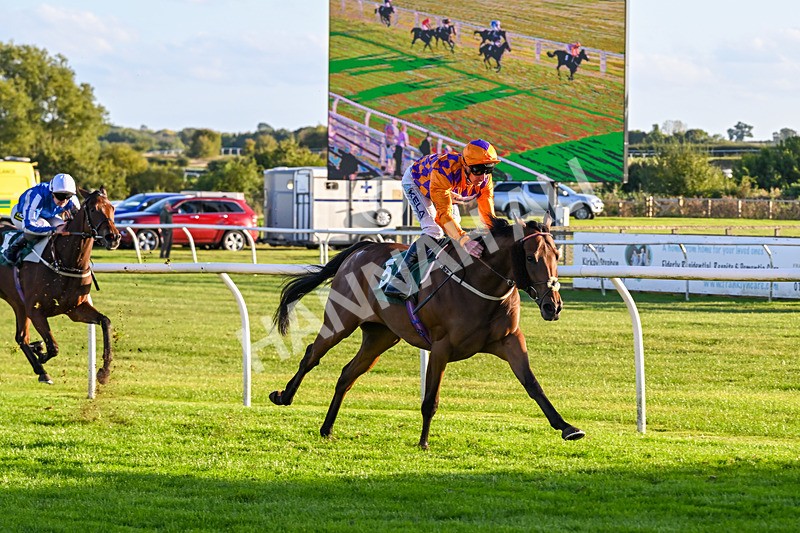 300926-Race 7-Prince Of Calypso-7068 - Race 7 5.25pm Amstel Gallop Handicap