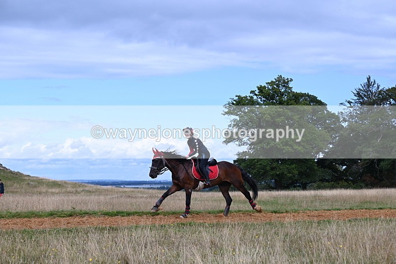 DSC_8916 - Time at Statue 14:33 to 15:10