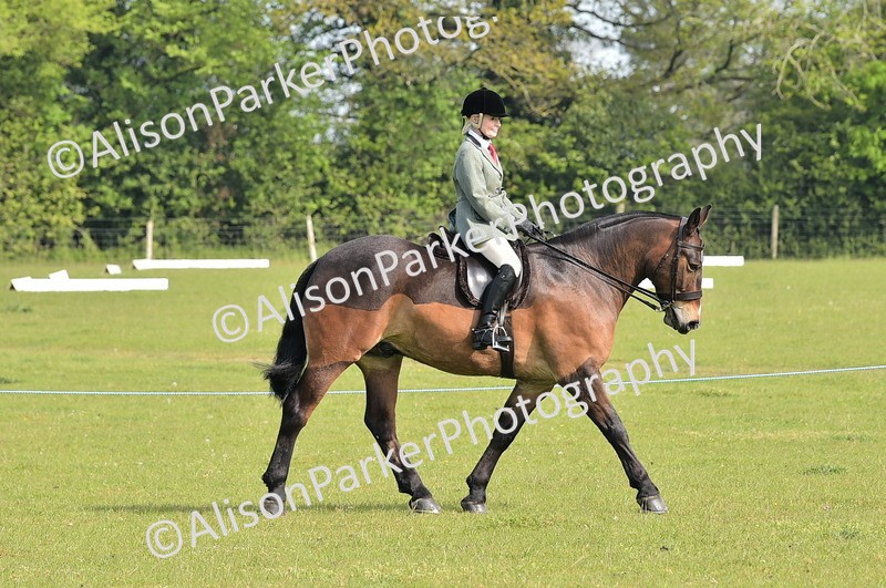 20260426-0922 - Class 18 - Novice Showing