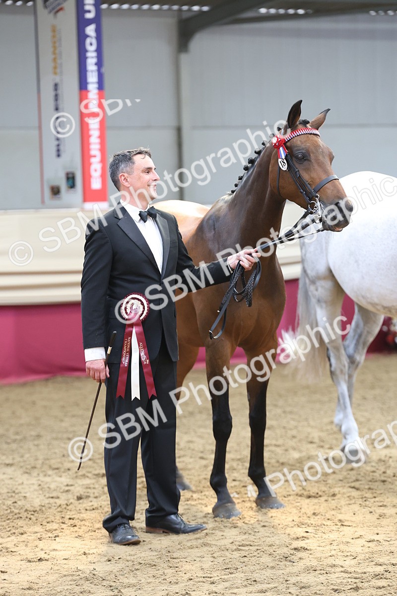 SBM_23414 - Class 903 - Supreme Final - IH Pre Vet