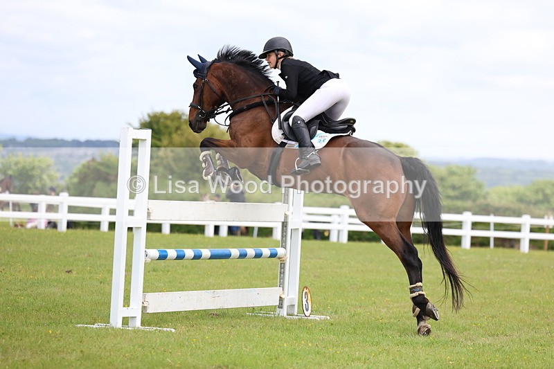 3E7A7096 - Class 12: Senior Foxhunter/1.20 open