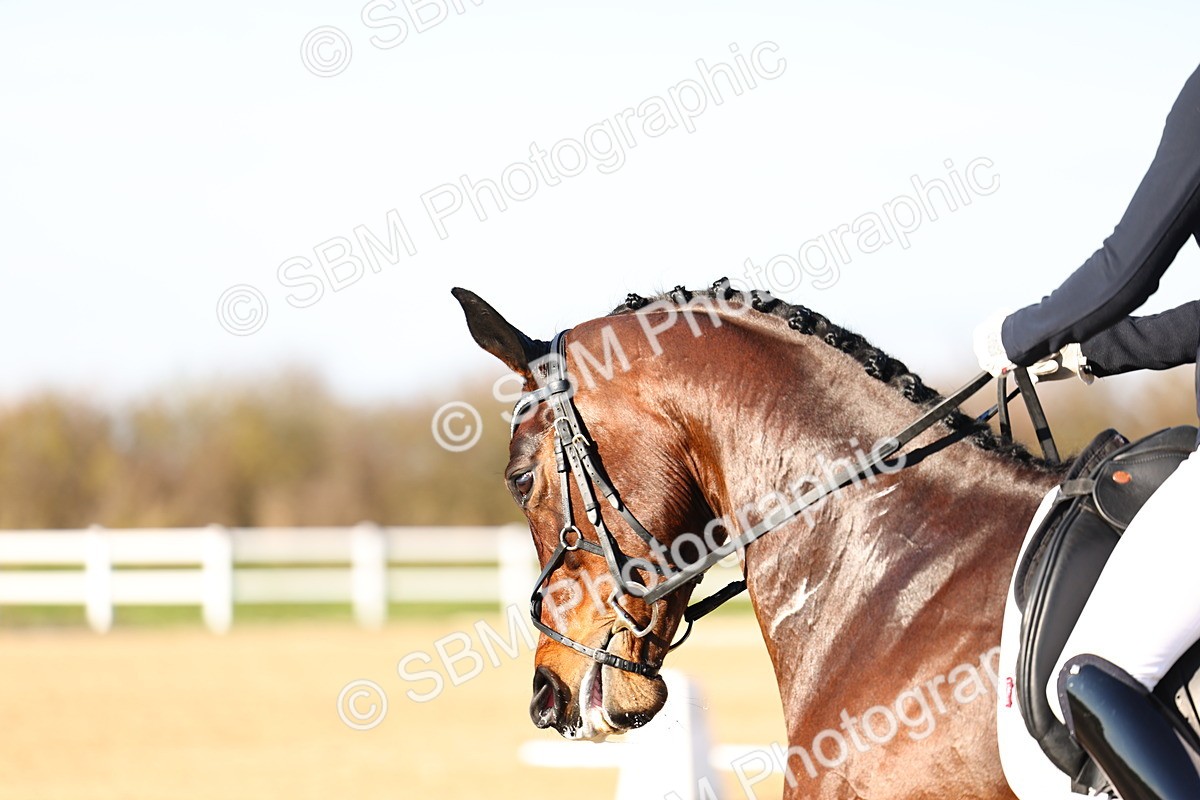 026A9213 - Class 8 - Elementary 5