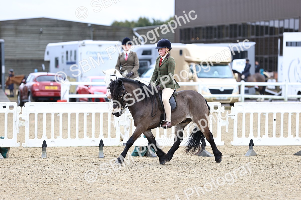 SBM_006830 - Class 29 - 30 - M&M Pure Novice Small-Large Breeds