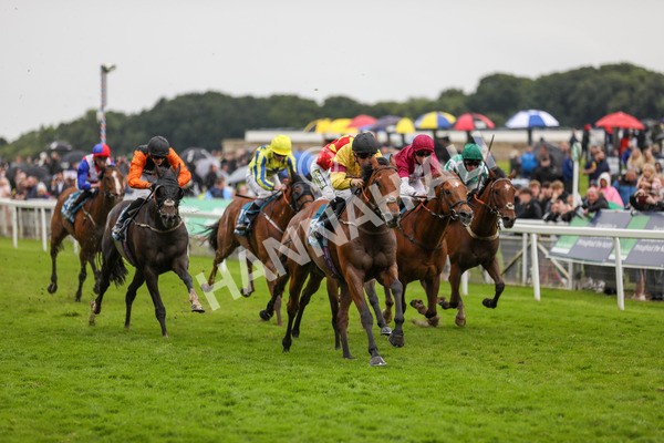 150624-Race 6-Pisanello-6247 - Race 6 4.45pm Ice Co Supporting Macmillan Handicap