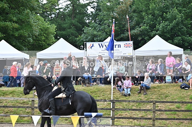 250524A-155636-13057 - Demo Arena Crowds