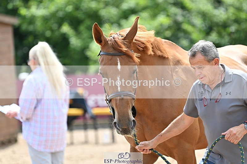 240717A-144529-02269 - Trot Up 2pm to 3pm - This folder is not in time order