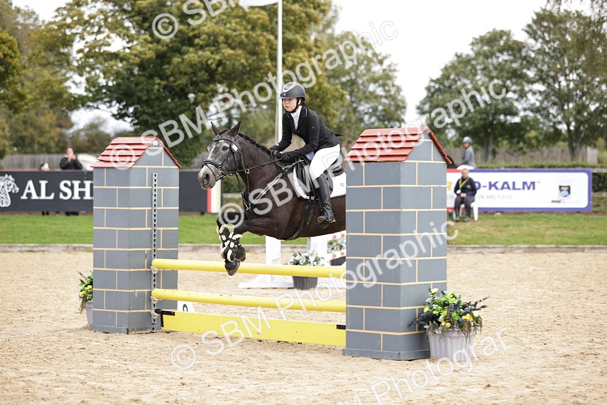 SBM_22371 - J59 - Clear Round 75cm