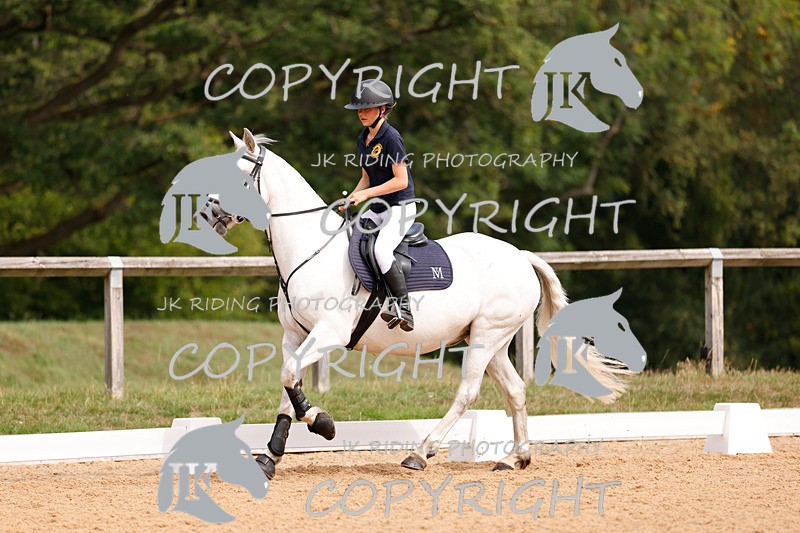 _R6A2443 - Dressage Morning