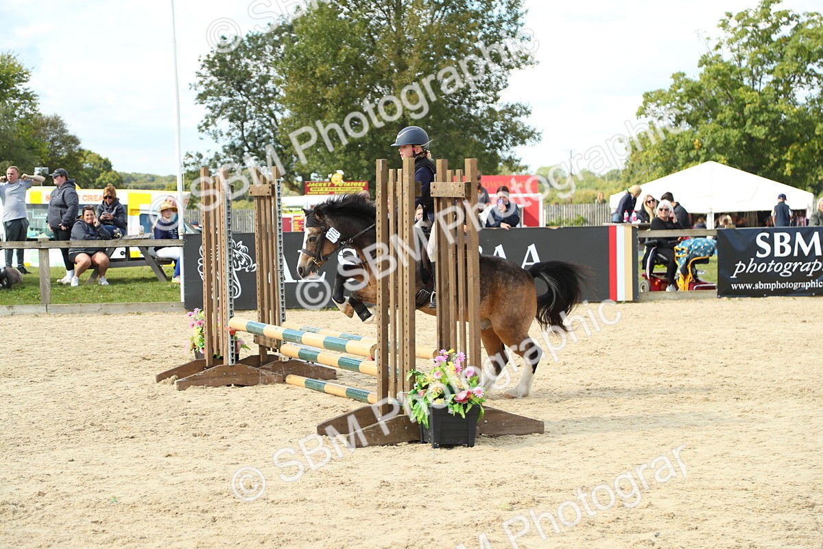 SBM_39490 - J6 - Junior Pony 55cm Championships