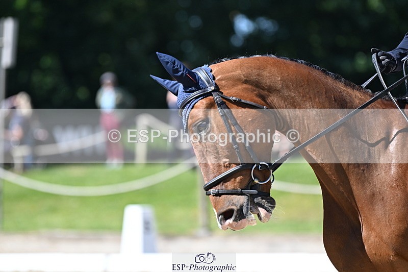 250522A-103950-03166 - A-013-Marianna.Sawyer-KINGSTON