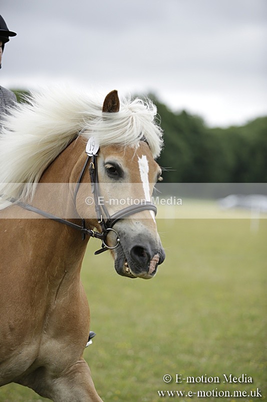 BVR160717-1548 - Ring 1 BVRC Show 16/07/17