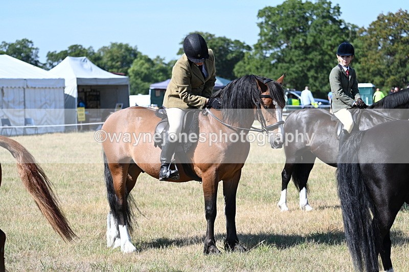 WJ7_3829 - Class 9 Mountain & Moorland Ridden
