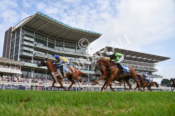 yr10072021r3-46 - Race 3: 2.55pm John Smith's Stayers Stakes