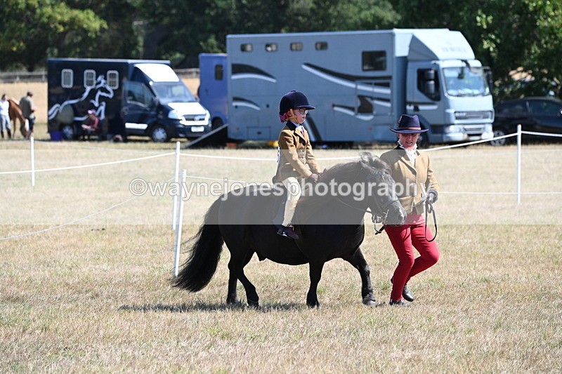 WJ6_7714 - Class 36 Lead Rein