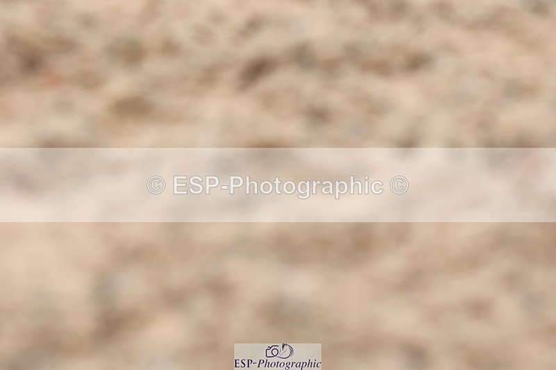 250622-163130-17437 - Cls 54 Medium 6 Inc Presentations