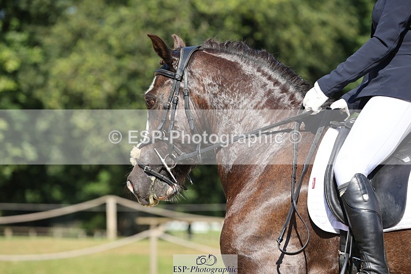 240719-094440-00242 - 262-Leia_Bower-Horeb_Llew