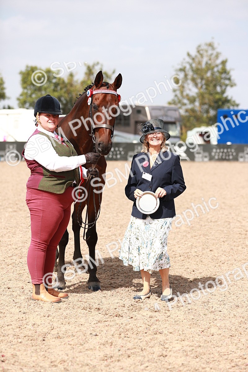 SBM_13295 - Class 208 IH Veteran Horse