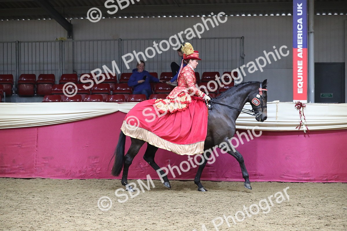 SBM_12102 - Class 107 Ridden Costume- Astride Adult (20+)