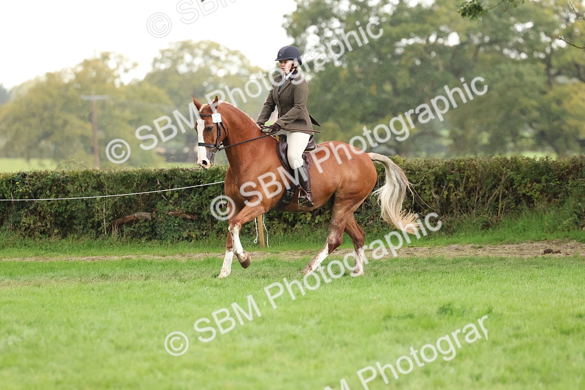 SBM_45023 - S27 - Young Veteran Ridden