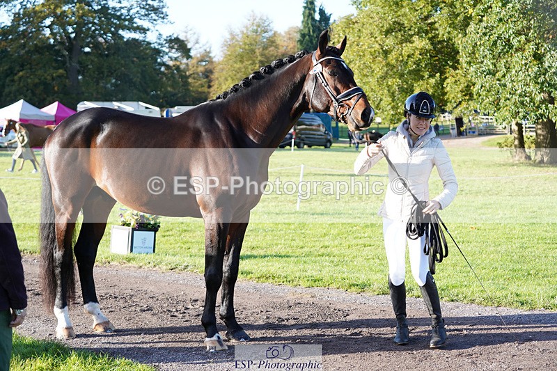 241026-101644-11739 - 012-Mollie.Summerland-SKITTEL.D'EKWI