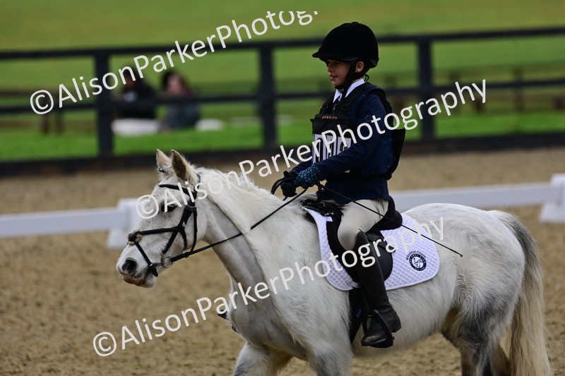 20260125-0519 - Class 9b - Walk Trot Unassisted