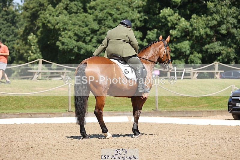 240719-105531-00822 - 169-Marion_Eaves-Indigo_Queen_of_Hearts