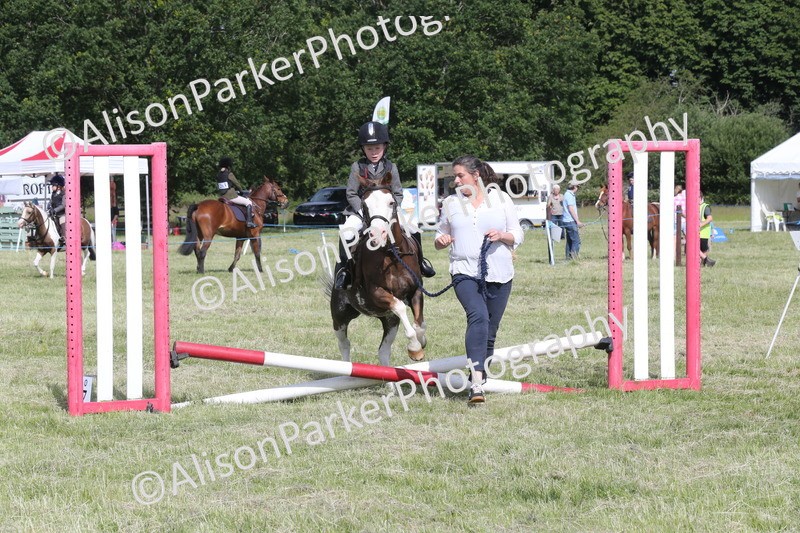 20260614-0072 - Class 1 - 30cm Lead Rein