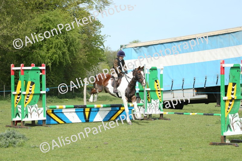 20260426-1592 - Class 14 - Novice 60cm