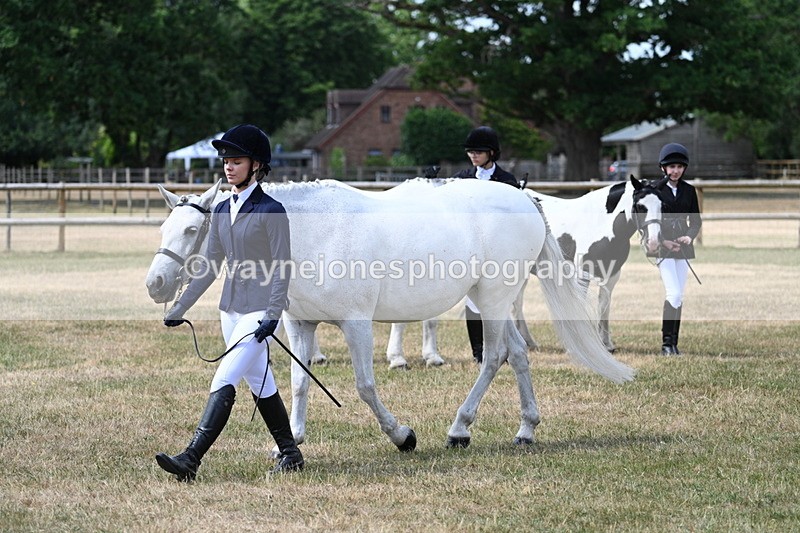 WJ7_1588 - Class 4 Prettiest Mare up to 14.2hh in hand