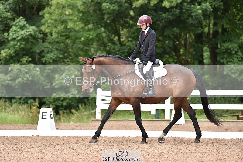 240706A-132624-02614 - Cls 4A Snr Novice 24