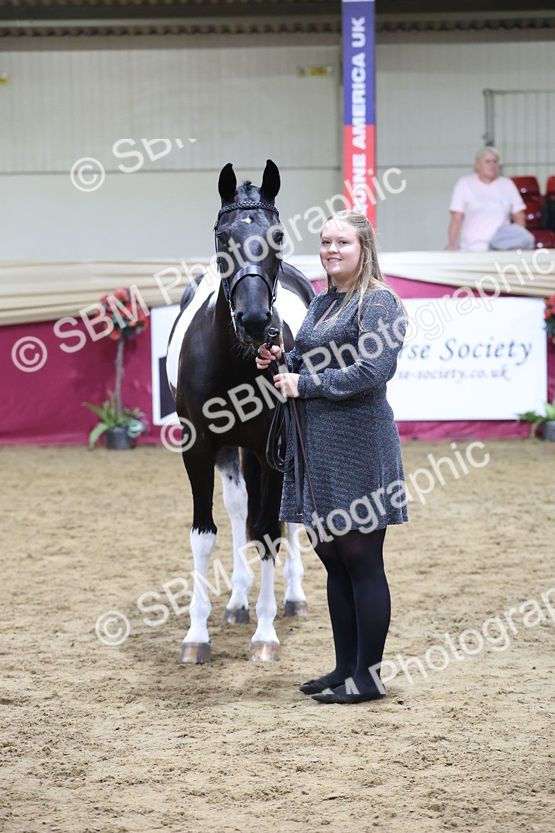 SBM_20526 - Class G - IH Large (over 148cm)Champ
