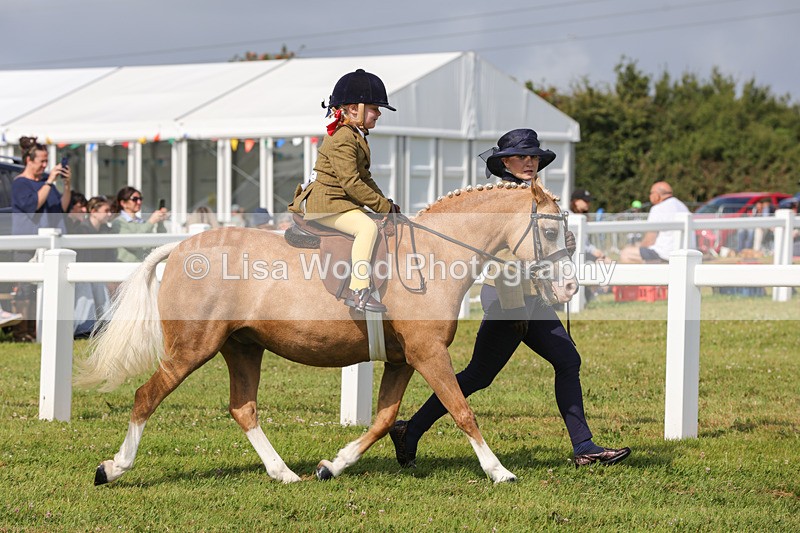 1X9A3582 - Class 29: Lead Rein SP/SHP