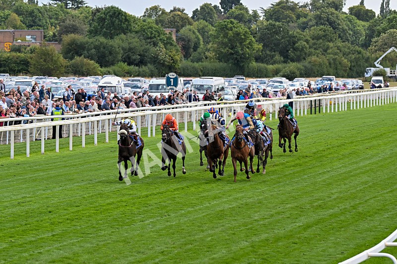 210826-Race 3-Arapaho Gold-0166 - Race 3 15.00pm Al Basti Equiworld Dubai Gimcrack Stakes