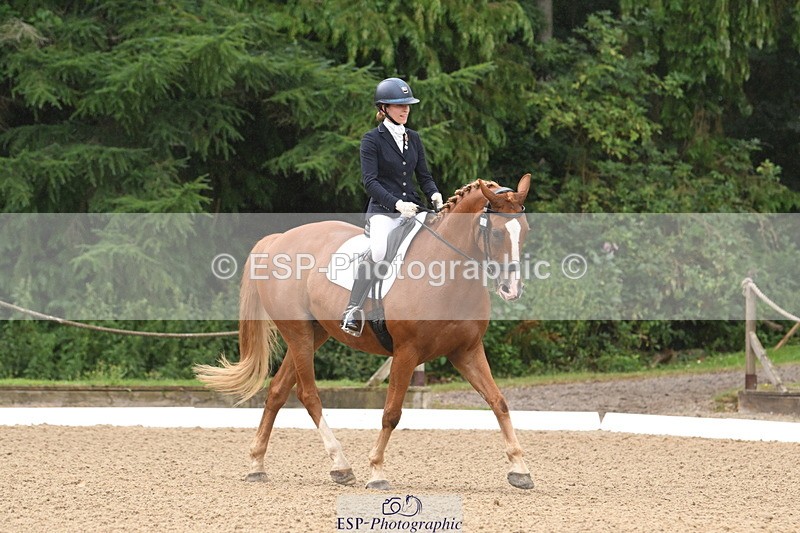 250720A-103314-09587 - 104-Molly.Northmore-Pennmoor.Liberation