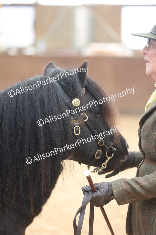 20251109-0036 - Class 3 - 2 and 3 Year Old