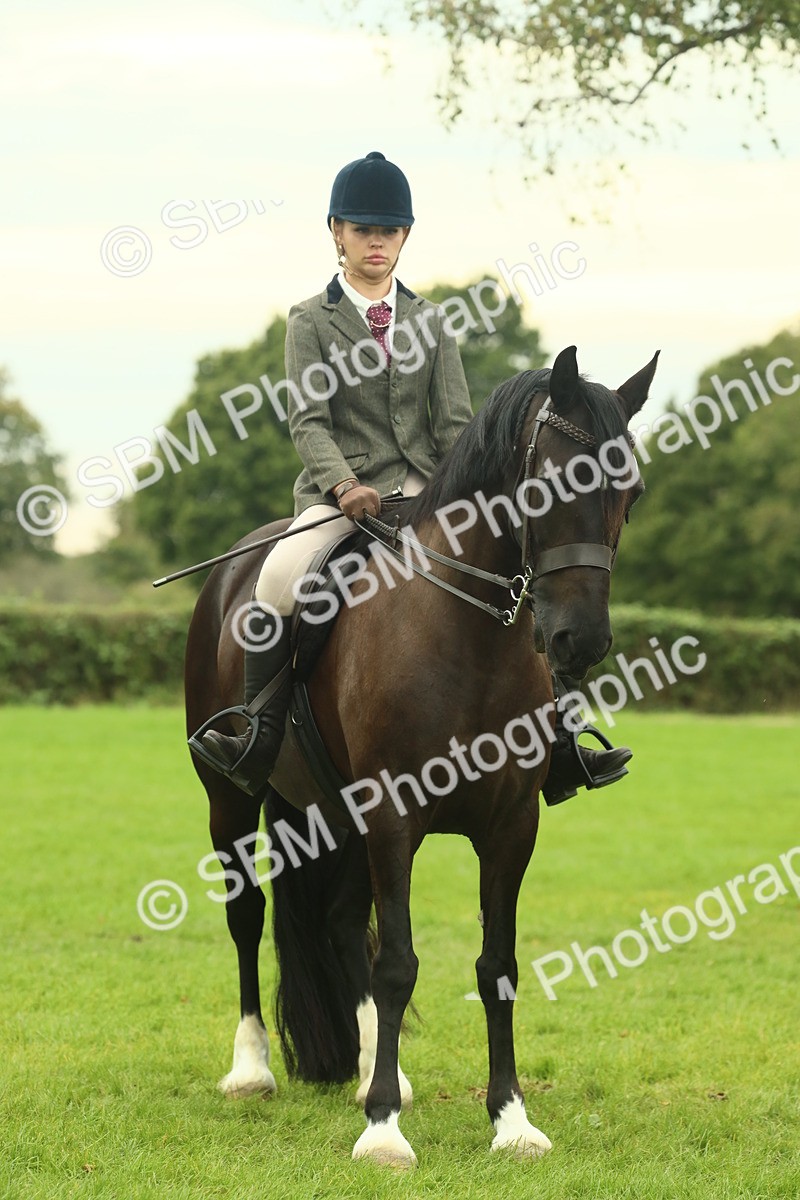 SBM_72237 - S60 - Mountain & Moorland Ridden Large Breeds
