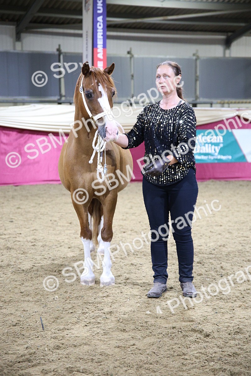 5K7A1580 - Class P Veteran Champ