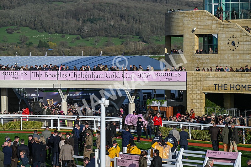 130326-Race 5-Gaelic Warrior-3009 - 13th March