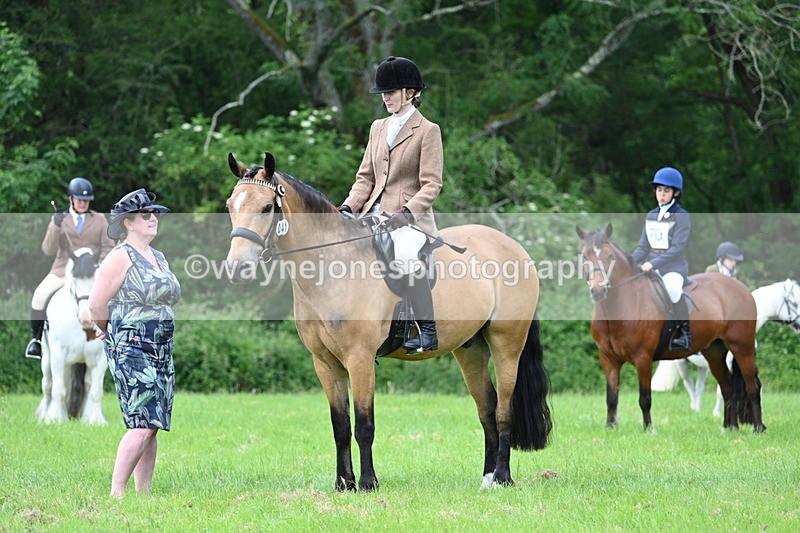 WJ7_1411 - Class 11 Condition & Turnout