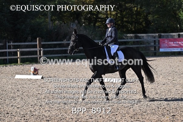 BPP_8912 - LONG ARENA