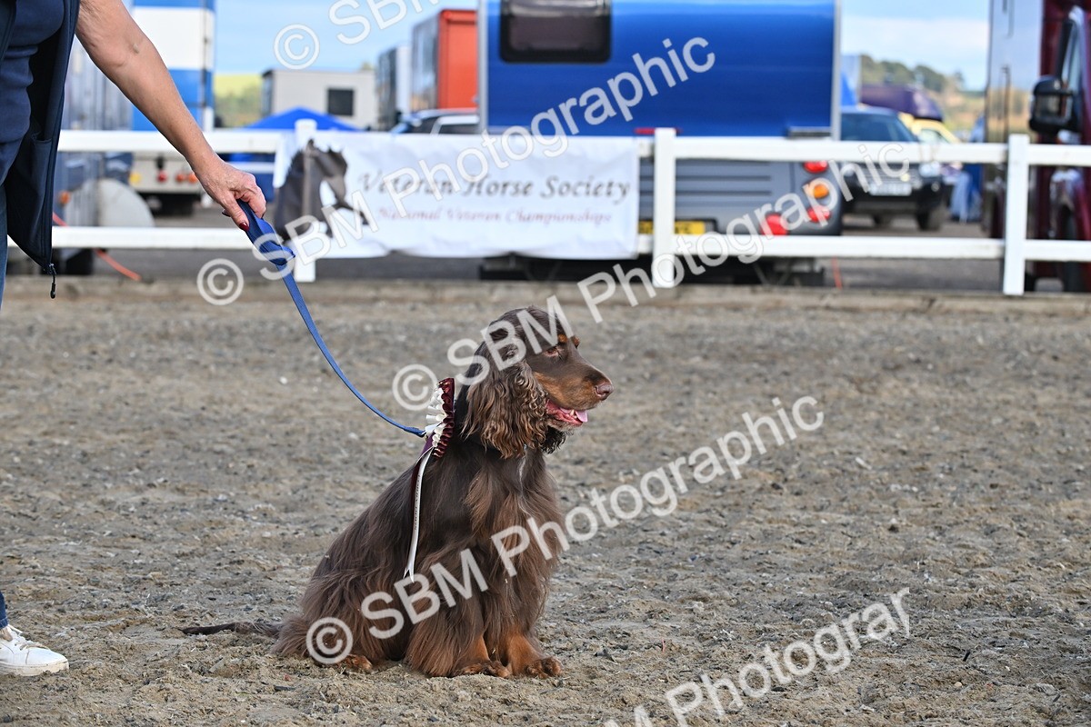 SBM_09504 - Lorry Dogs