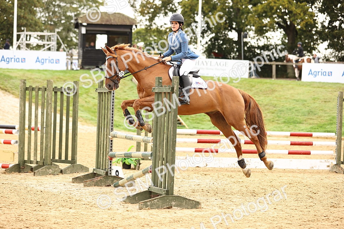 SBM_58532 - J41 - Grand Tour Horse & Pony 95cm