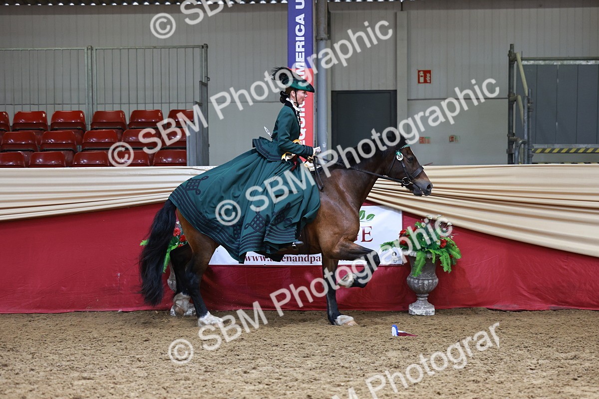 SBM_14869 - Class 107 - Ridden Costume - Astride Adult  (20+)