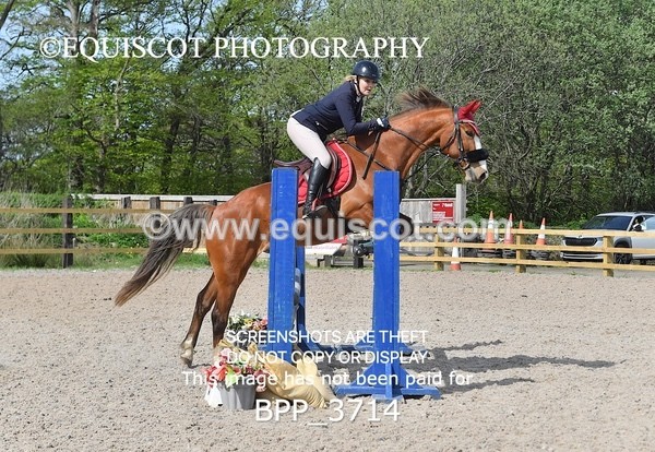 BPP_3714 - CLASS 2 Club/ Unaffiliated 80cms Open