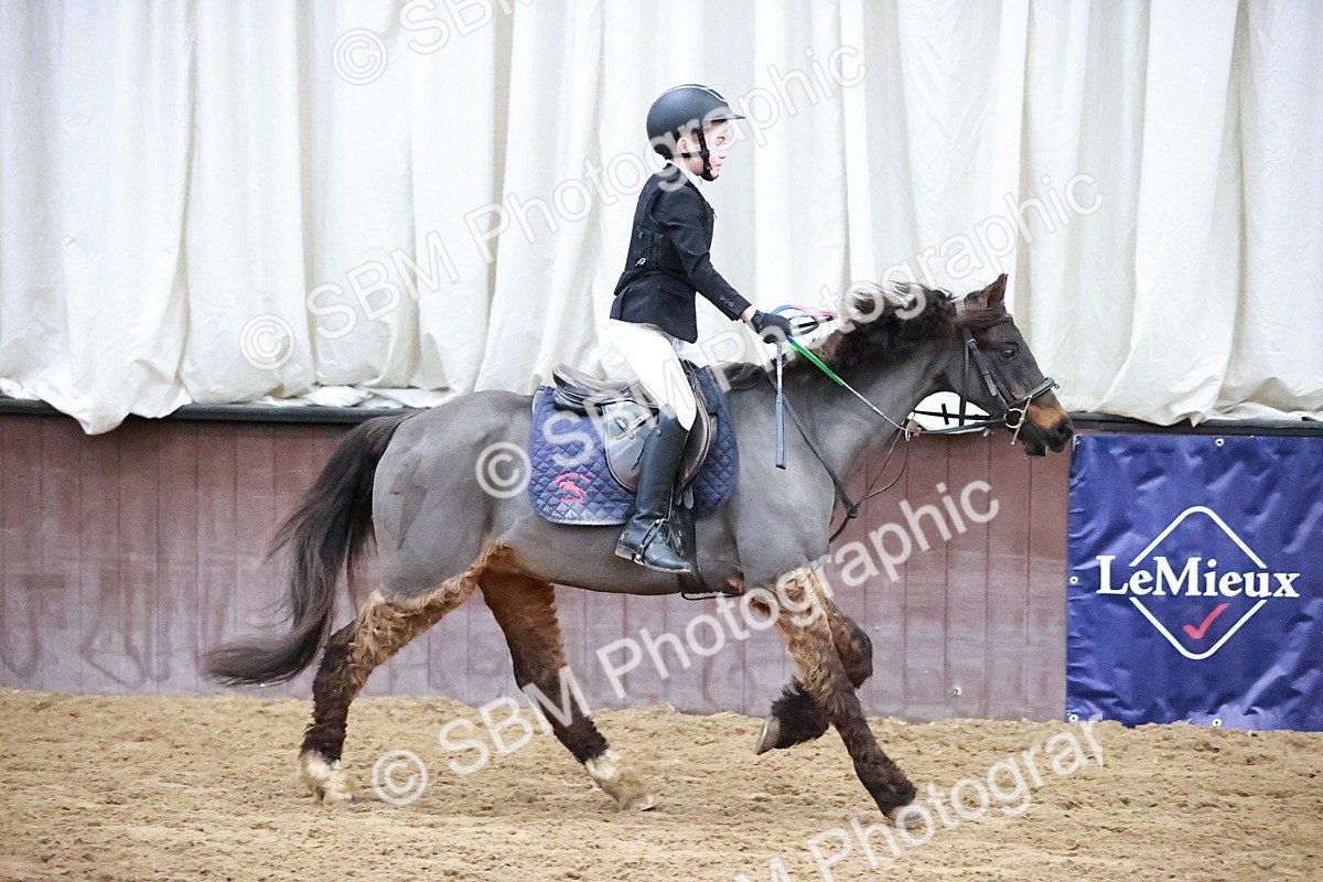 SBM_000053 - Class 1 - Cross Pole Jumping 30cm 40cm