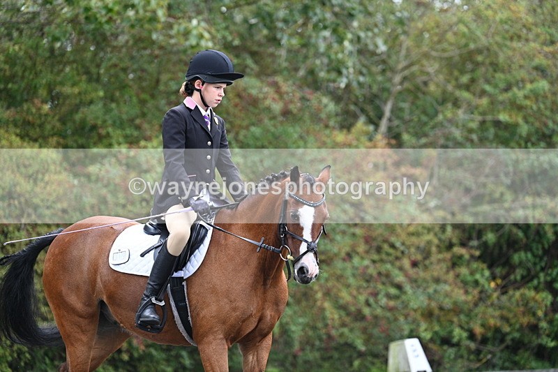 WJ7_3984 - Time 11:04 to 11:38